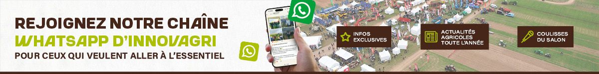 banner whatsapp